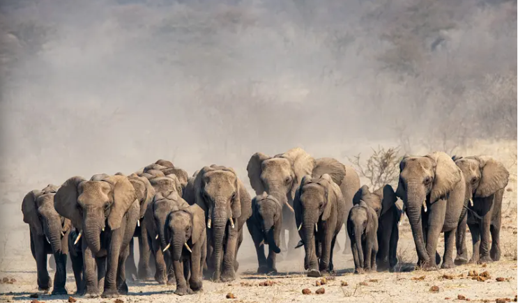 <p>Download free source code for a digital e-commerce website with online payment method integration. Built in PHP/MySQL, includes product management, payment tracking, and responsive design. Perfect for students, startups, and developers.</p>